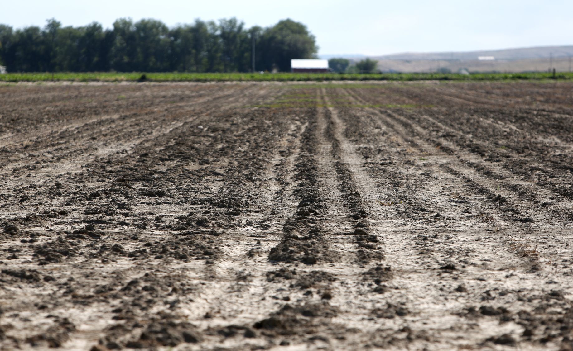 Southern Agriculture Research Center in Huntley